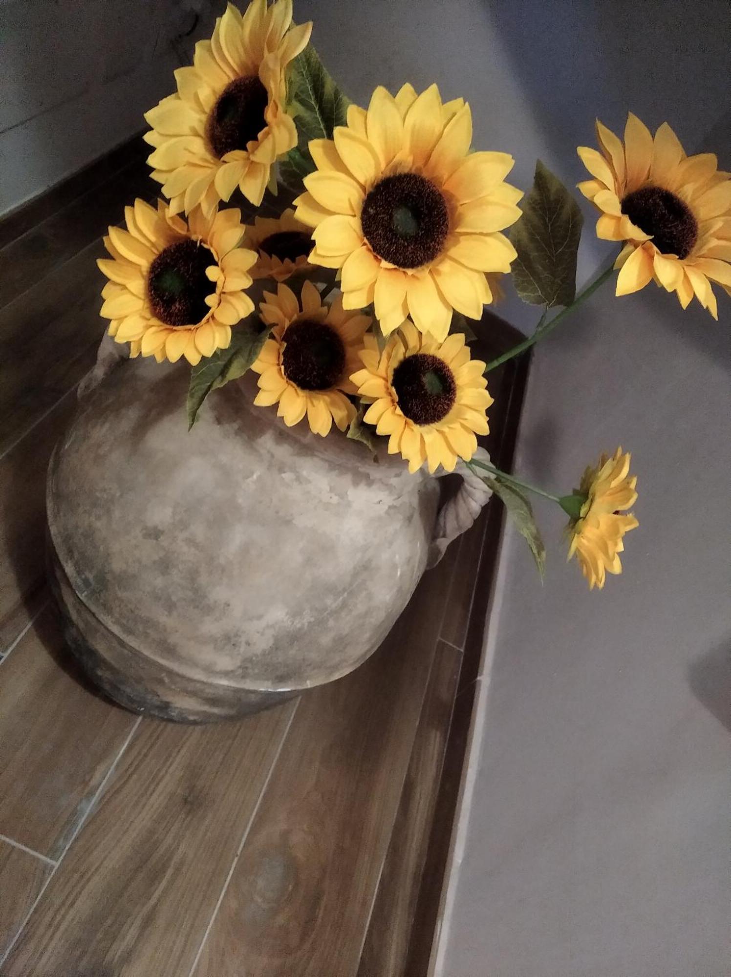 Roccadaspide Agriturismo B&B Il Girasole المظهر الخارجي الصورة
